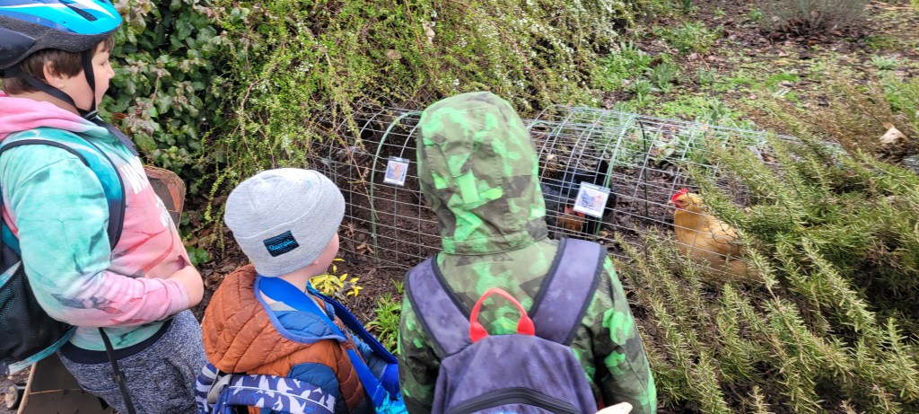 Our first month exploring&nbsp;🥾